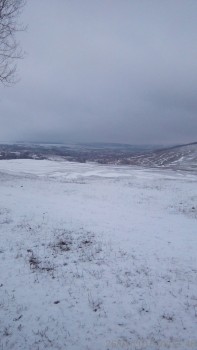 rsz_img_20160126_083148.jpg