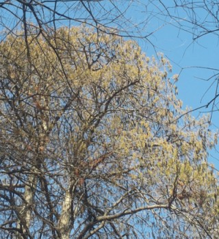 20160214_145721.jpg