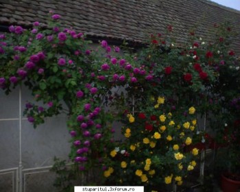 ok_151022.jpg