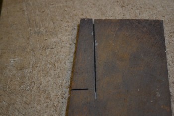 DSC_50318.JPG