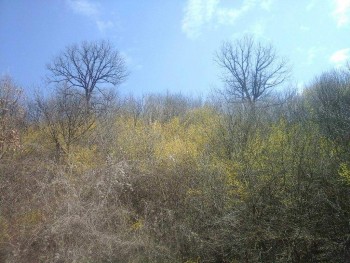 rsz_20150326_115556.jpg