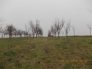 rsz_dscn1449.jpg