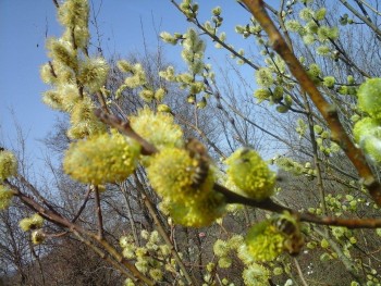 rsz_20160303_122713.jpg