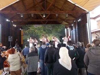 Ghiroda 2016 009.JPG