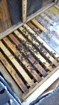 rsz_img_20160313_101819.jpg