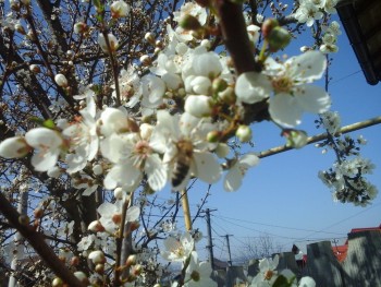 rsz_20160317_112944.jpg