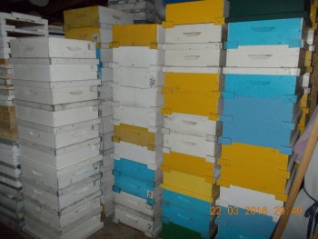 rsz_dscn1582.jpg