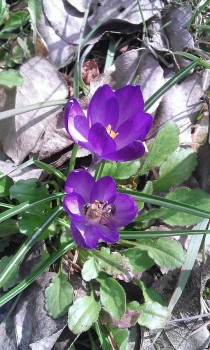 WP_20160305_004.jpg