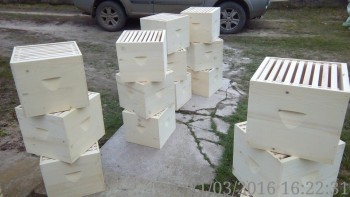 rsz_img_20160321_162231.jpg
