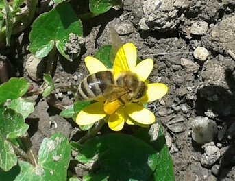 rsz_20160331_125131-1.jpg