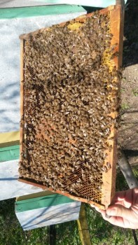 20160331_140636.jpg