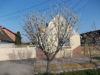 rsz_dscn1623.jpg