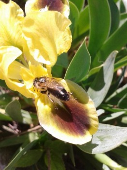 rsz_20160403_120412.jpg