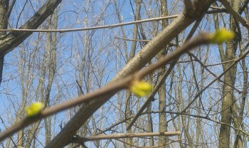 rsz_20160403_140545-1.jpg