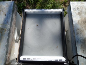 fructosis (Medium).JPG