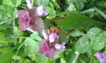 WP_20160405_014.jpg