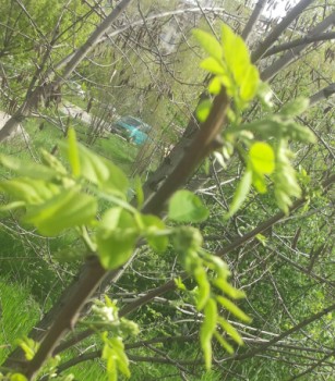 20160406_160916.jpg