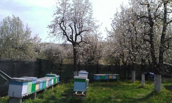 WP_20160410_004.jpg