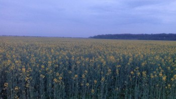 IMG_20160411_194703-1280x720.jpg