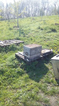 rsz_img_20160413_102837.jpg