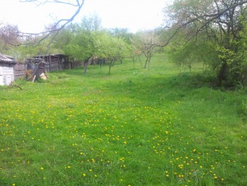 rsz_2016-04-15_121918.jpg