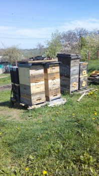 rsz_img_20160416_130140.jpg