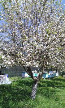 WP_20160416_002.jpg