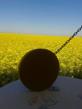 rsz_img_3886.jpg