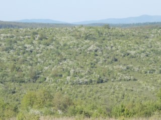 23 aprilie 2016 002.JPG