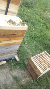 rsz_img_20160503_161435-1.jpg