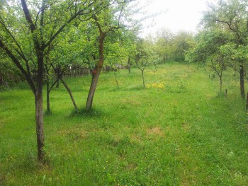 rsz_2016-05-04_095748.jpg