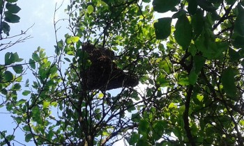 20160508_184748.jpg