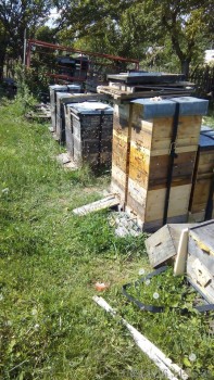 rsz_img_20160511_141529.jpg