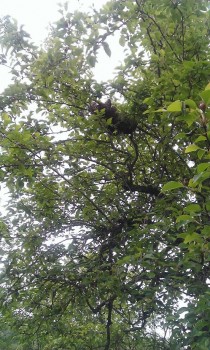 WP_20160510_002.jpg