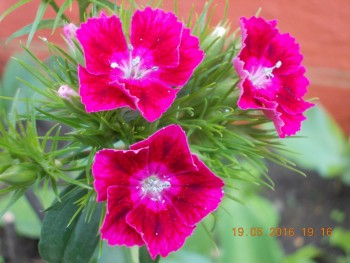 rsz_dscn1860.jpg