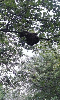 WP_20160519_001.jpg