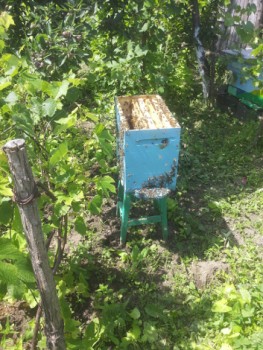 20160529_114125.jpg