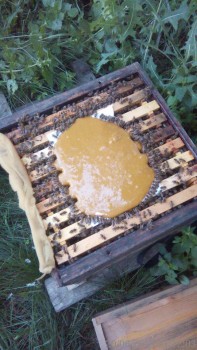 rsz_img_20160620_211203-1.jpg