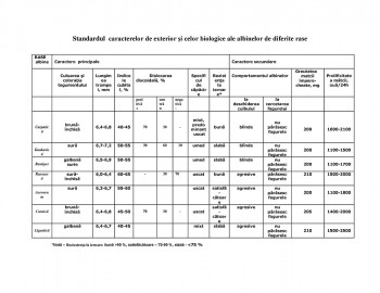 file-page1.jpg
