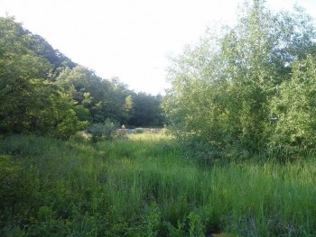 rsz_20160520_182655.jpg