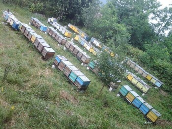 rsz_20160802_151712.jpg