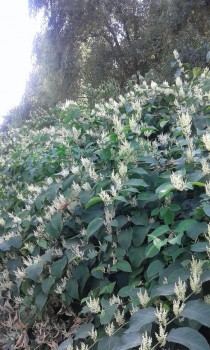 20160904_153010.jpg