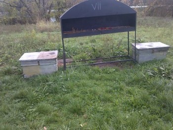 IMG-20161030-00102.jpg