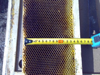07102009220.jpg