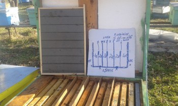 20161118_143523.jpg