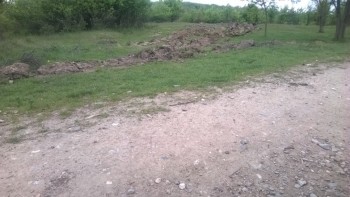 WP_20160506_005.jpg