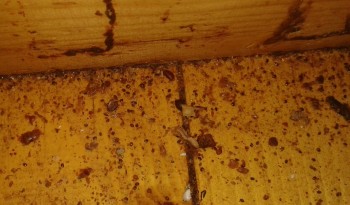 rsz_20161202_133638-1.jpg