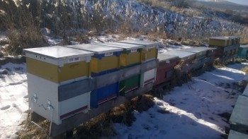 WP_20161211_002.jpg
