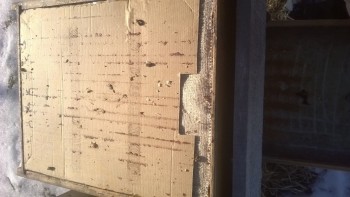 WP_20161211_008.jpg
