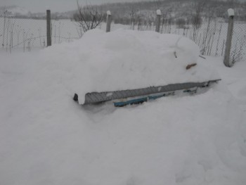 DSCN6953.JPG